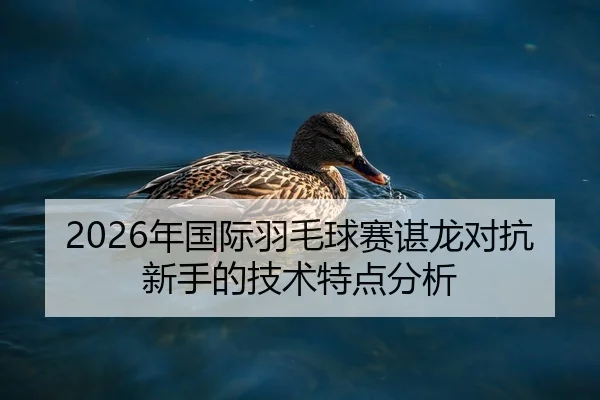 2026年国际羽毛球赛谌龙对抗新手的技术特点分析