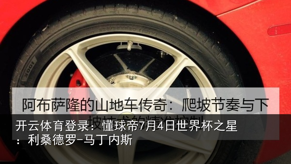 开云体育登录:懂球相关情况:利桑德罗-马丁内斯