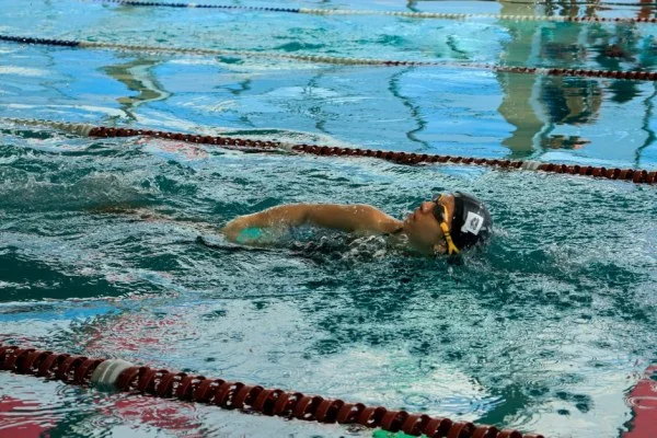 freestyle swimmer competition